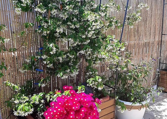 Smartfit House - & Relax In Oda ve Kahvaltı Pescara