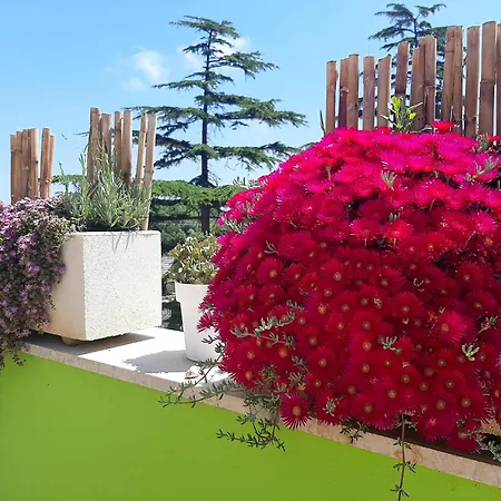 Bed and Breakfast Smartfit House - & Relax In 4*