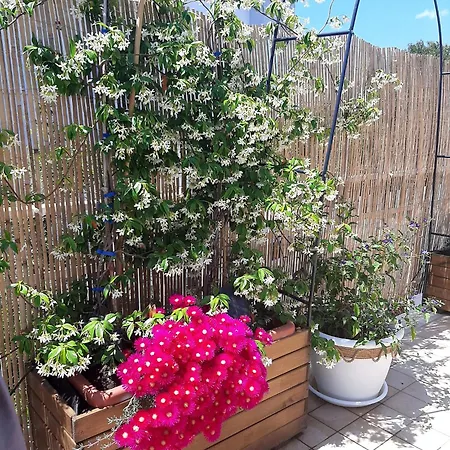 Smartfit House - & Relax In Frühstückspension Pescara